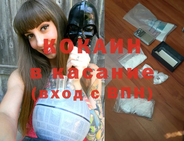 ПСИЛОЦИБИНОВЫЕ ГРИБЫ Сосновый Бор