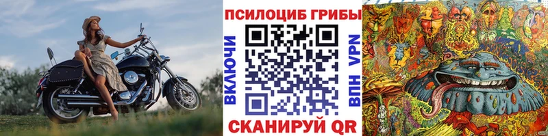Галлюциногенные грибы Cubensis  Купить где  Калач 